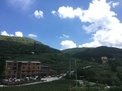 -武陵山森林公园