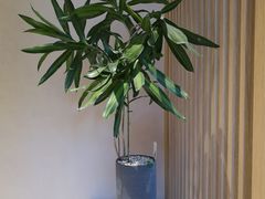 -威思迈健身工作室(庆谐路店)