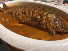 -阿五黄河大鲤鱼(纬三路店)