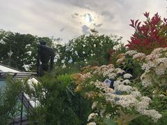 -三鹰之森吉卜力美术馆