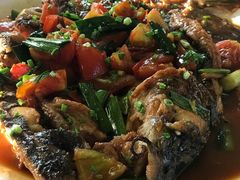 -生态苑农庄(十里画廊遇龙河店)