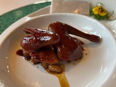 乳鸽-三号黄浦会Canton Table