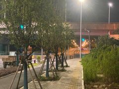 -南汇新场正宗水蜜桃采摘