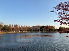 -滆湖低碳生态公园