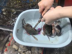 -船奇蒸汽海鲜·闽菜(八市海鲜总店)