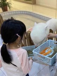 -Moni星球萌宠·小马宝莉·灵蛇·高端高阶全萌宠互动体验俱乐部(红豆国际广场店)