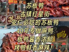 -安仁古镇