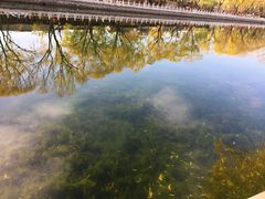 景点-什刹海-后海