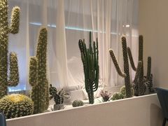 -悦海·家宴·冰花皮皮虾大锅贴(宝龙店)