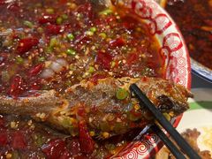 -欧记大排档·景德菜(上海首店)