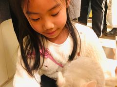 -龙猫仔乐园(惠福东路店)