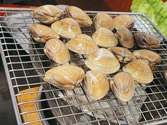 -奥西拉烤肉,盒饭,冷面(青岩刘店)