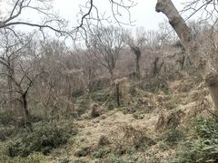 -南京市江宁方山