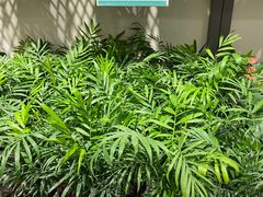 -鹿岛会员店 (龙湖三千集天街店)