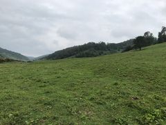 -关山草原
