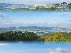 -水濂山森林公园