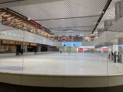 -TheRink大零溜冰场(IFS国金中心店)