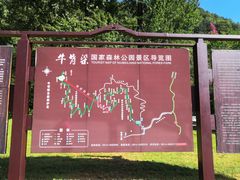 -牛背梁国家森林公园