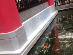 -龙悦湾酒家·八阵鱼生·渔人码头店