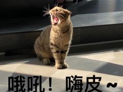 -红鼎坊·老成都火锅(新南门店)