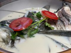 -全乐鱼馆·淳牌有机鱼直营店