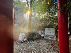 -西安大兴汤院遗址公园