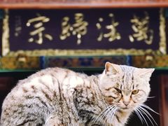 -关岳庙