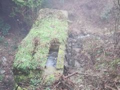 -四明山国家森林公园