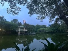 -晓港公园