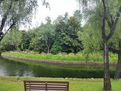 -上海滨江森林公园