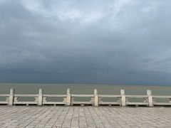 -野狸岛