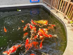 -华庭苑农家乐(旺山店)
