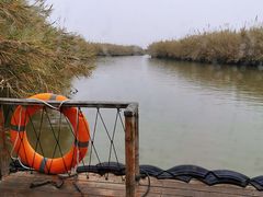 -泗洪洪泽湖湿地景区