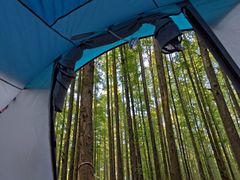 -山王坪喀斯特国家生态公园