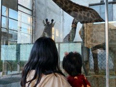 -石家庄市动物园