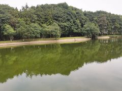 -象山森林公园