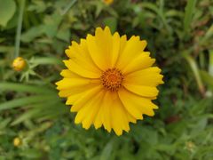 -桤木河湿地公园