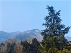 -泰山风景名胜区-普照寺