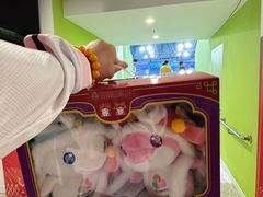 -重庆市奥林匹克体育中心-游泳跳水馆