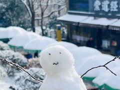 -紫金山山顶公园