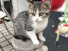 -新长发栗子食品有限公司(威海路店)