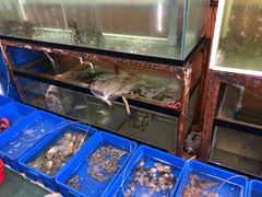 -QQ海鲜餐厅