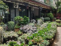 -山菌美食苑(振兴路店)