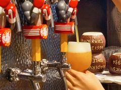 -Boxing Cat Brewery拳击猫精酿啤酒馆(永福店)
