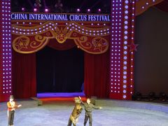 -珠海横琴长隆《卡卡虎奇遇记》