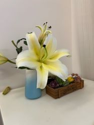 -清疣美疣·痣·斑净肤中心