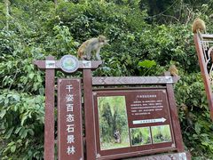 -广西龙虎山风景区