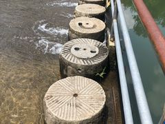 -千泷沟大瀑布旅游区
