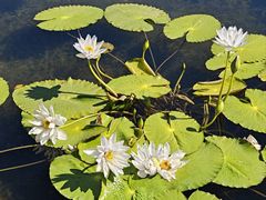 -云溪植物园