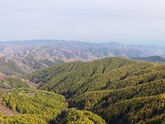 -苏木山森林公园